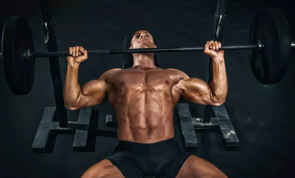 Développé couché incliné aux haltères pour musculation des pectoraux supérieurs